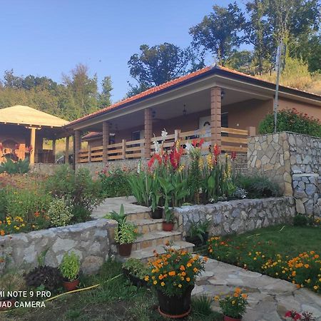Vila Vera Borsko Jezero Esterno foto