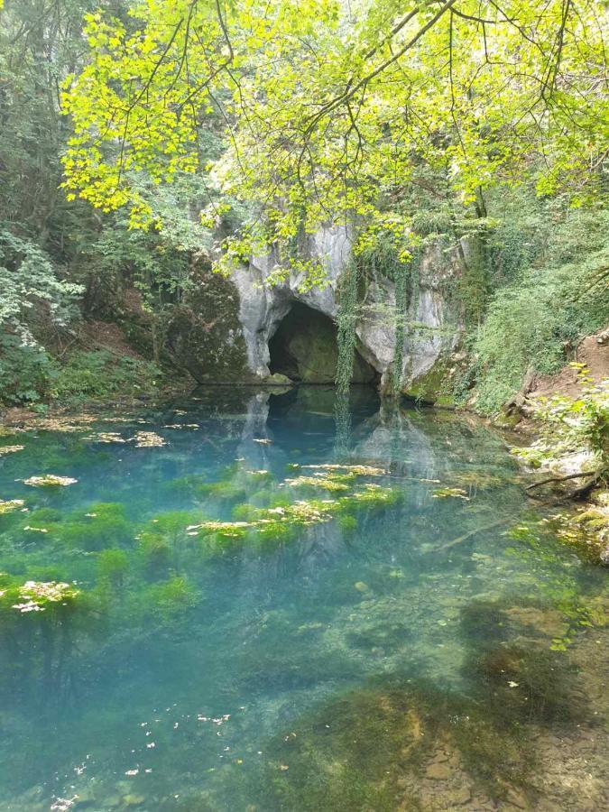 Vila Vera Borsko Jezero Esterno foto