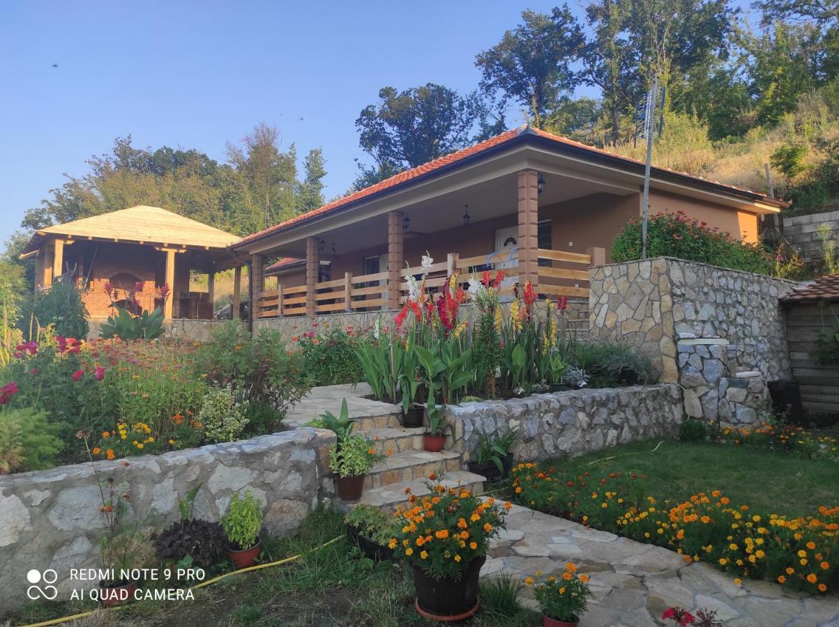 Vila Vera Borsko Jezero Esterno foto